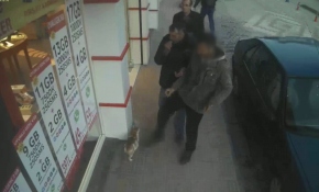 Kediye tekme atan kişiye idari para cezası