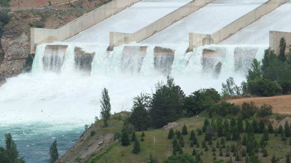 Öte yandan Atatürk, Karakaya ve Keban barajları ayrıca tarımda sulama ve balık üretimiyle de yöredeki vatandaşa önemli katma değer sağlıyor.