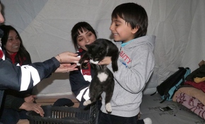 Depremde kedisini kaybeden Muhammed'e sürpriz