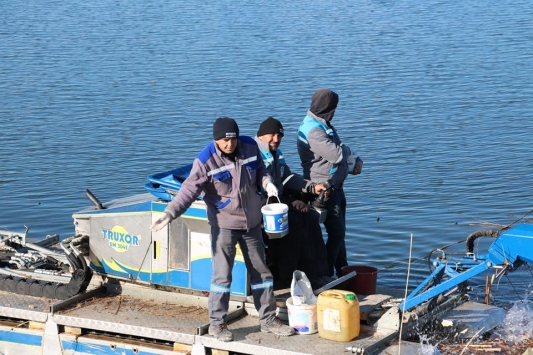 Beyşehir'de sinek ve uçkunların larva dönemi mücadelesine başlandı