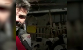 Kuzuların sesinden şüphelendi, video çekerken depremi kaydetti