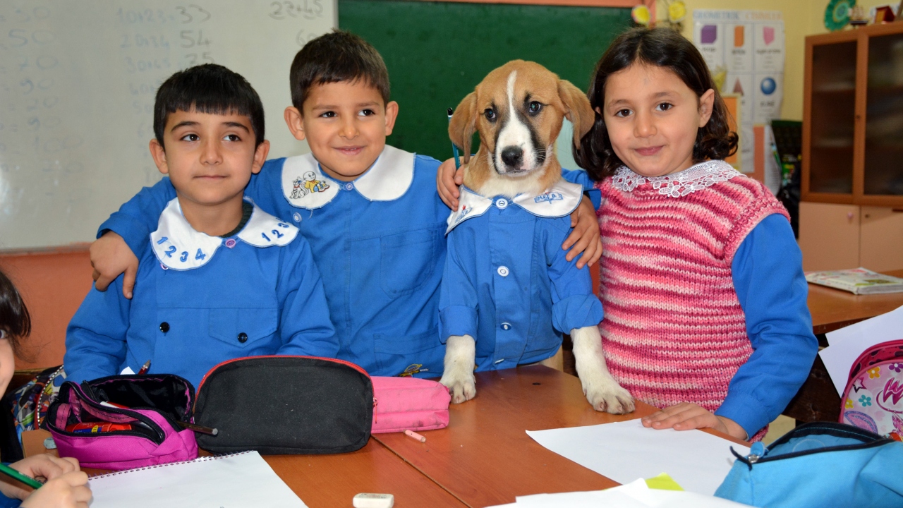 Tokat`ın Turhal ilçesine bağlı Kayacık köyünde bir okul...