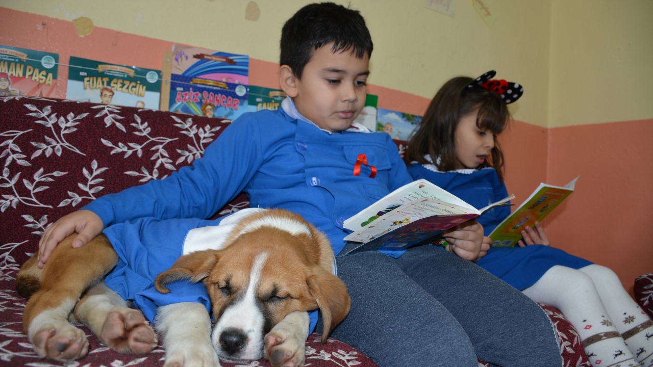 İlk günden beri, okulun öğrencileri de yavru köpeği çok seviyor.