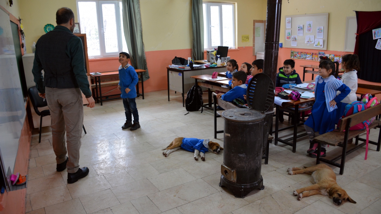 Kayacık Köyü Şehit Haluk Yılmaz İlkokulunun öğretmenleri, onu mezarlıkta gördü. Sokak köpekleri ona saldırıyordu.