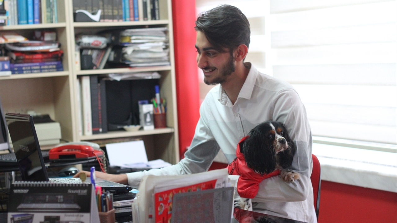 Dernek görevlilerince sokaklardan toplanan, Büyükşehir Belediyesi bakımevlerine sevk edilerek tedavileri ve bakımları yapılan hayvanların fotoğrafları çekiliyor. Bu fotoğraflar, hayvanları sahiplenmek isteyenler için sosyal medyadan paylaşılıyor.