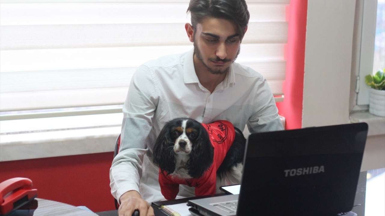 Paylaşımlar sayesinde, sokakta zor koşullarda hayatta kalma mücadelesi veren kedi ve köpekler, sıcak yuvalara kavuşturuluyor.