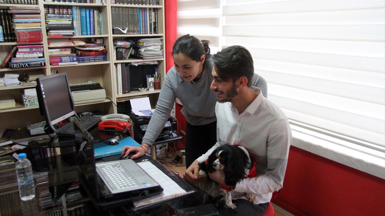 Tedavisini yaptıkları hayvanları yuvaya kavuşturabilmek için sosyal medyayı kullandıklarını anlatan Yıldırım, dernek üyeleri ve sokak hayvanlarını sahiplenen hayvanseverlerle büyük bir aile olmayı başardıklarını vurguladı.