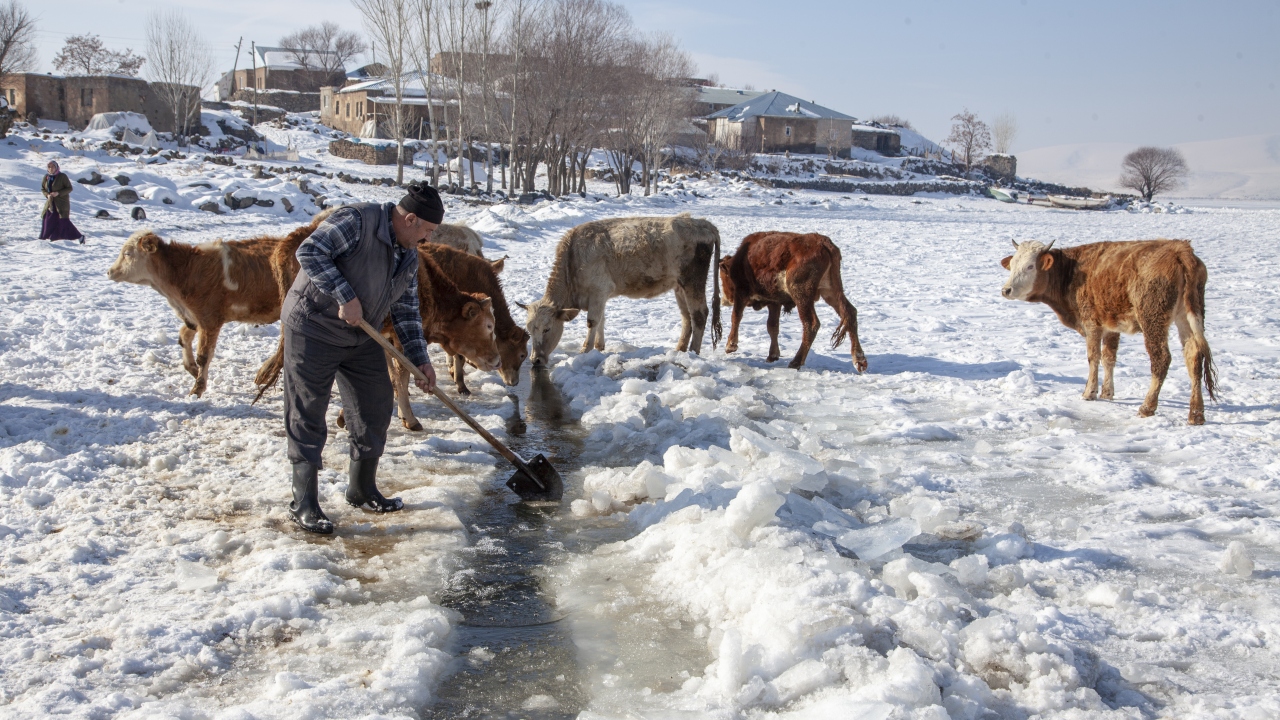 İlçede etkili olan soğuk hava yaşamı olumsuz yönde etkilerken, hayvanlarına su temini konusunda sıkıntı çeken köylüler ise çareyi kazma ve kürekle Nazik Gölü`nün yüzeyindeki buzları kırmakta buldu.