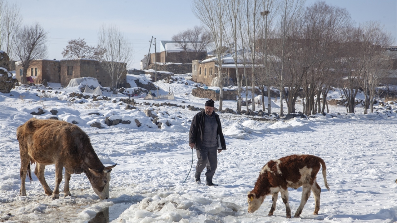 Köylüler kalınlığı yaklaşık 40 santimetreye kadar ulaşan buz tabakasını kırarak hayvanlarının su ihtiyacını karşılıyor.