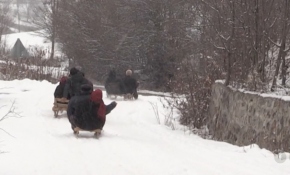 Artvin'de köylülerin kızak keyfi