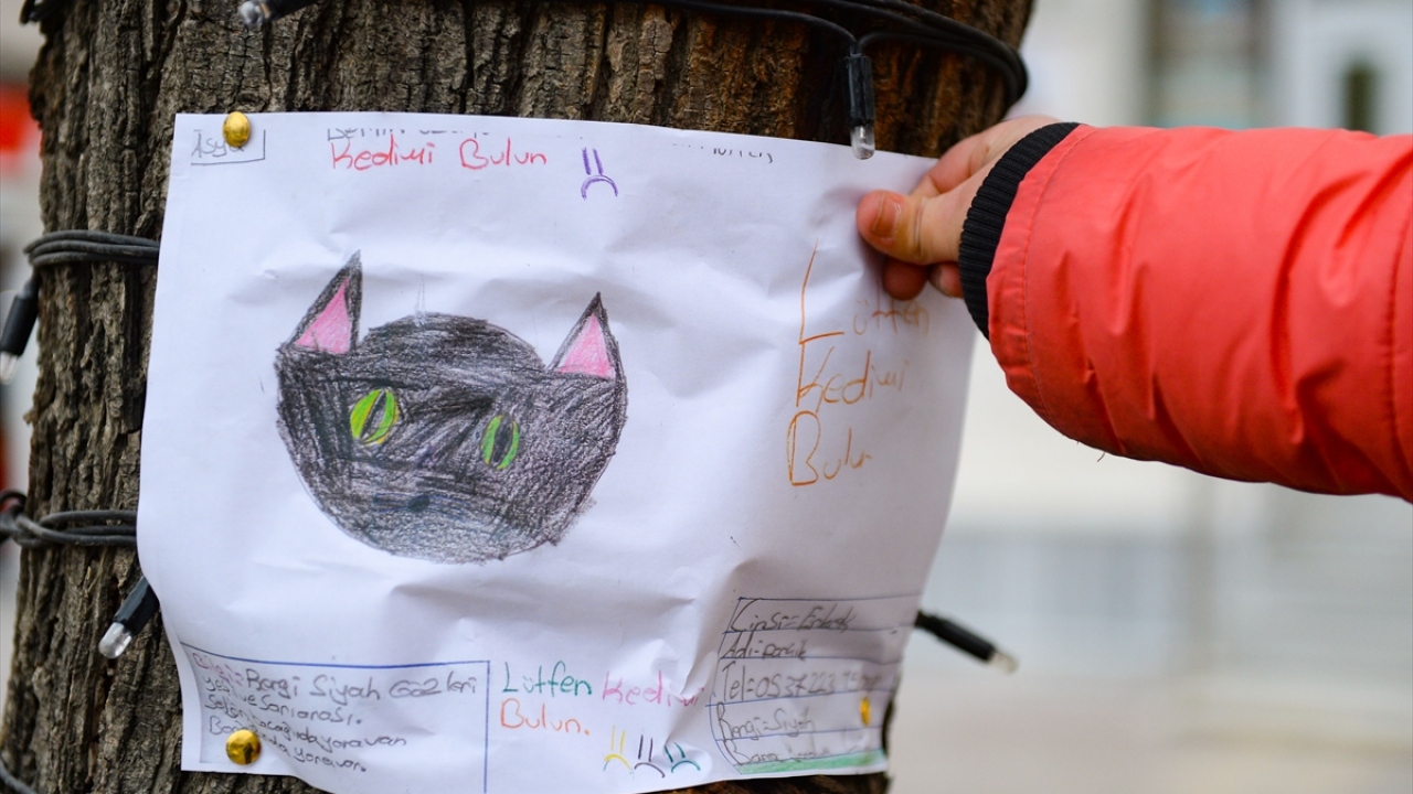 "Kedimin kaybolmasına çok üzüldüm, aklıma gelince ağlıyorum"