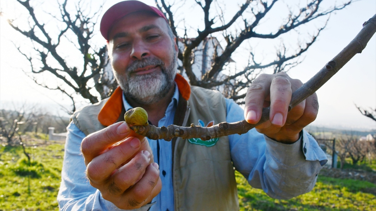 "Yediverendi, sekizveren oldu"