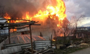 Samanlık yandı, ahırda bulunan hayvanları vatandaş kurtardı