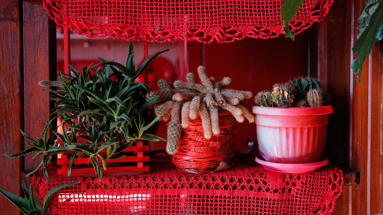 Balayına İstanbul`da gitti ve ilk kırmızı çantasını, ayakkabısını ve ev eşyalarını burada aldı.