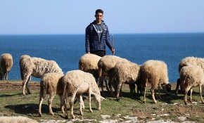 Çoban Veysel'in sörf sevgisi