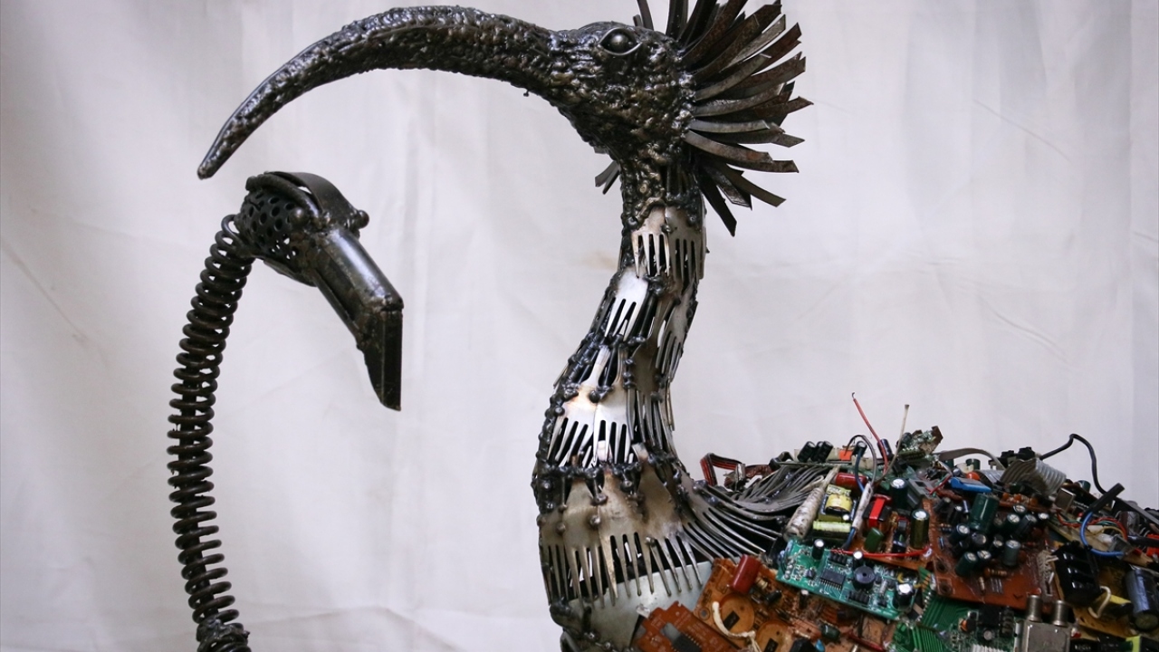 Bunları atölyesinde bir araya getiren Altınorak ailesi, 5 aylık çalışmanın ardından çevre kirliliğine dikkati çekmek amacıyla nesli tükenme tehlikesi altındaki kelaynak başta olmak üzere flamingo ve tavus kuşu heykeli yaptı.