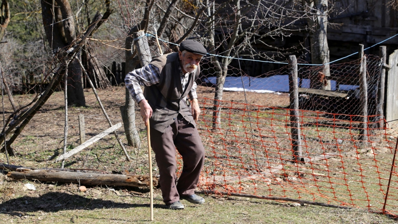 Bu yıl 29 Ocak`ta vefat eden Huriye Tokat, vasiyeti üzerine oğlunun yanına defnedildi.