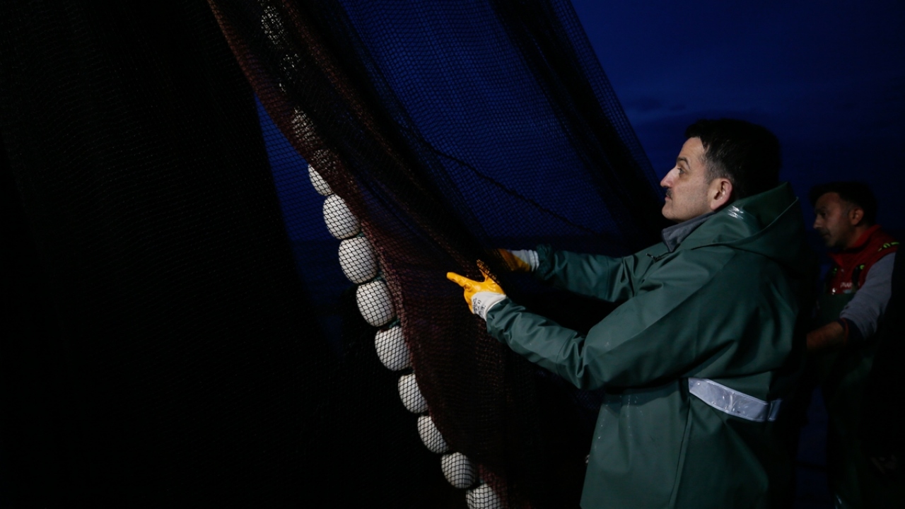 Bakan Pakdemirli, gemiye çıkarılan hamsi ve sardalyaları  balıkçı küreği ile kasalara doldurdu.