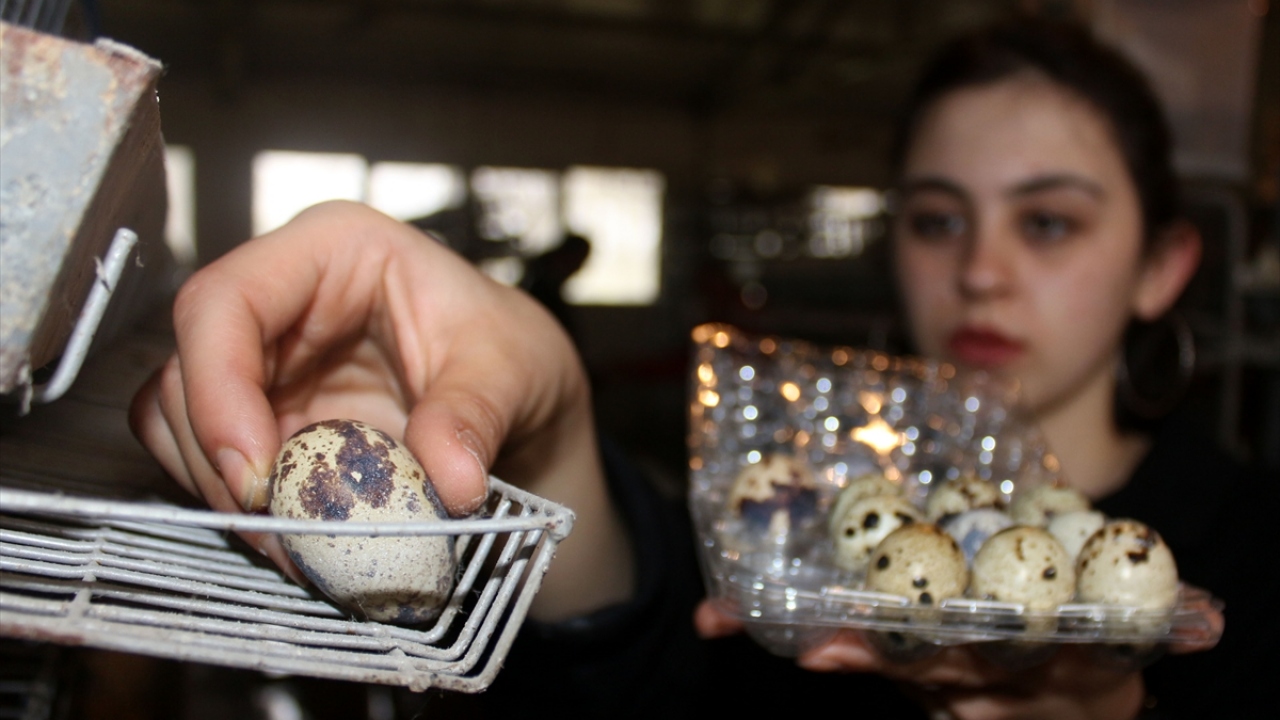 Ürünler, fakülte yönetiminin belirlediği görevliler tarafından yerleşke içindeki organik ürün satış mağazasında, uygun fiyatla öğrenci ve vatandaşlara satılıyor. 