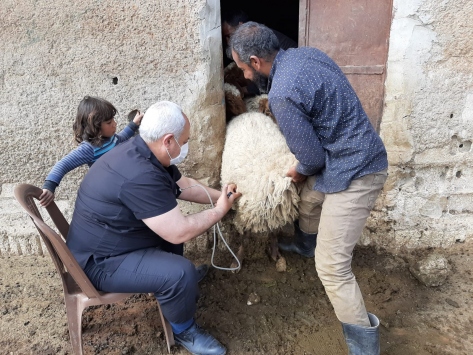 Tel Abyadda tarım ve hayvancılık canlanıyor
