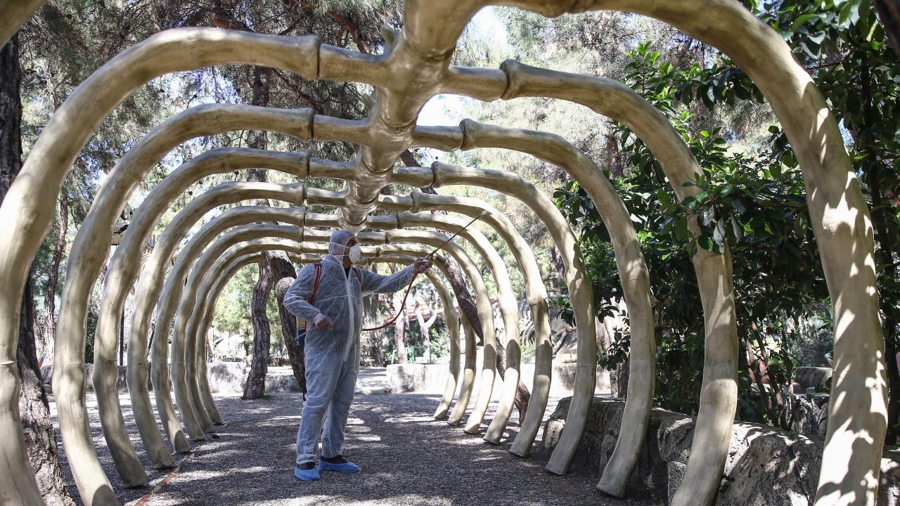 Antalya`da, yeni tip koronavirüs (Kovid-19) önlemleri kapsamında dinozor maketlerinin yer aldığı Dinopark`ta dezenfeksiyon işlemleri yapıldı.