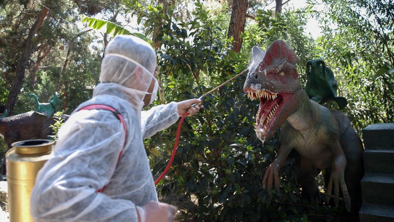 Kemer ilçesi Göynük Mahallesi`nde dinozor maketlerinin yer aldığı Dinopark`ta da bu kapsamda çalışma gerçekleştirildi.