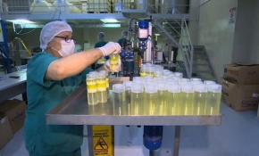 Kolonyanın ham madde üretimi arttı