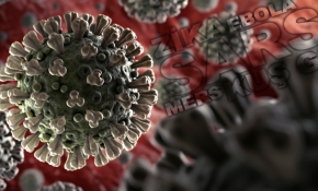 Son 20 yılda dünyayı sarsan 6 büyük salgın