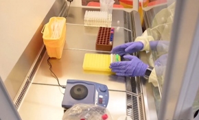 Koronavirüste gençler de risk altında