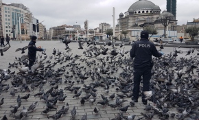 Taksim Meydanı'ndaki güvercinleri polis besledi