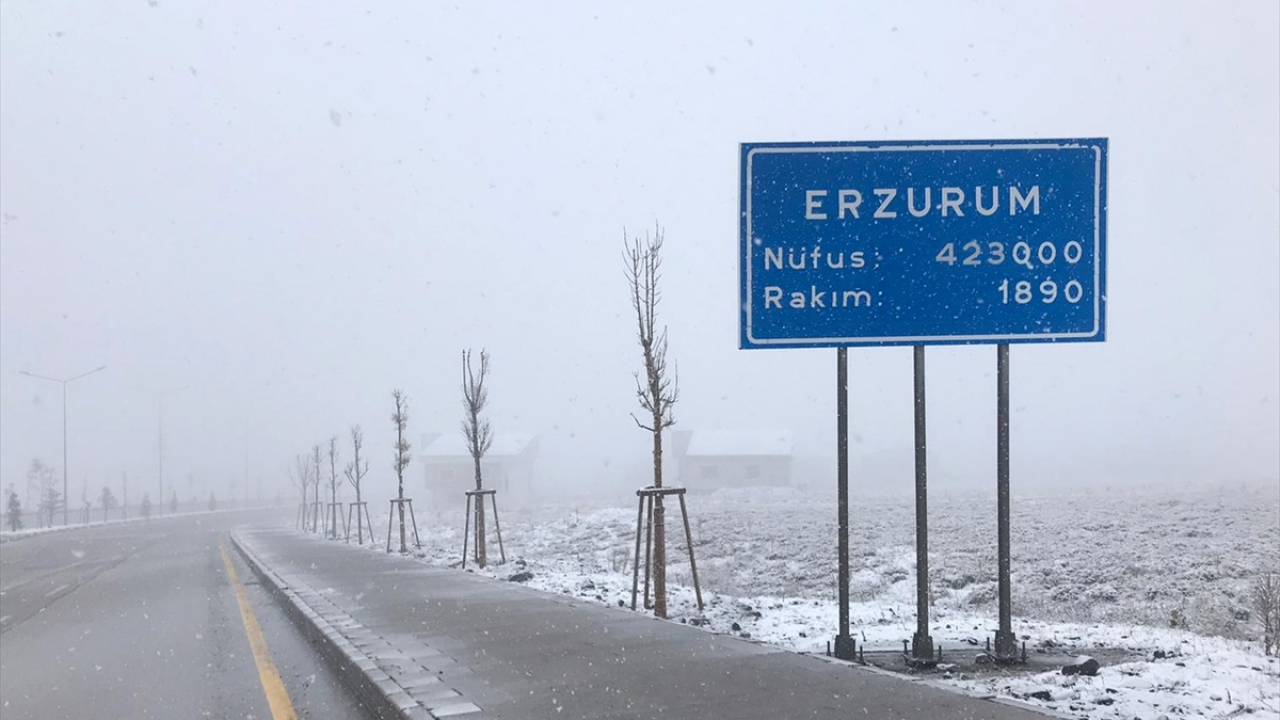 Vatandaşlar da ev ve iş yerlerinin önünde biriken karları kürek yardımıyla temizledi.