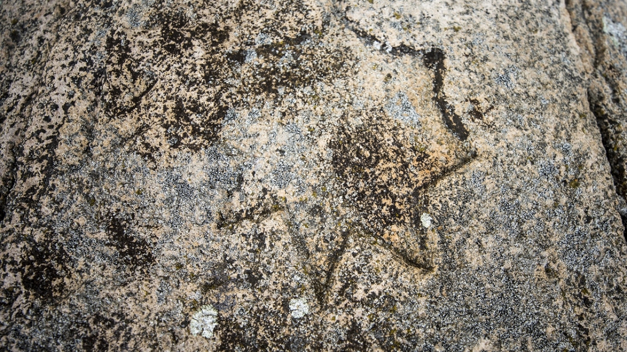 Evler, mimar ve fotoğrafçıların da dikkatini çekiyor
