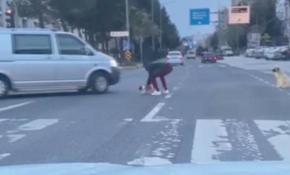 Trafiğin ortasında kalan yavru köpeğin hayatını kurtardı