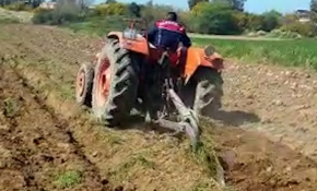 Yaşlı adamın tarlasını jandarma ekipleri sürdü