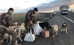 Polisler yiyeceklerini sokak köpekleriyle paylaştı