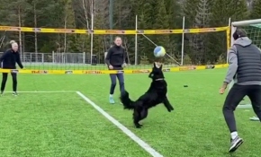 Norveçli voleybolcu, köpeğiyle antrenman yaptı