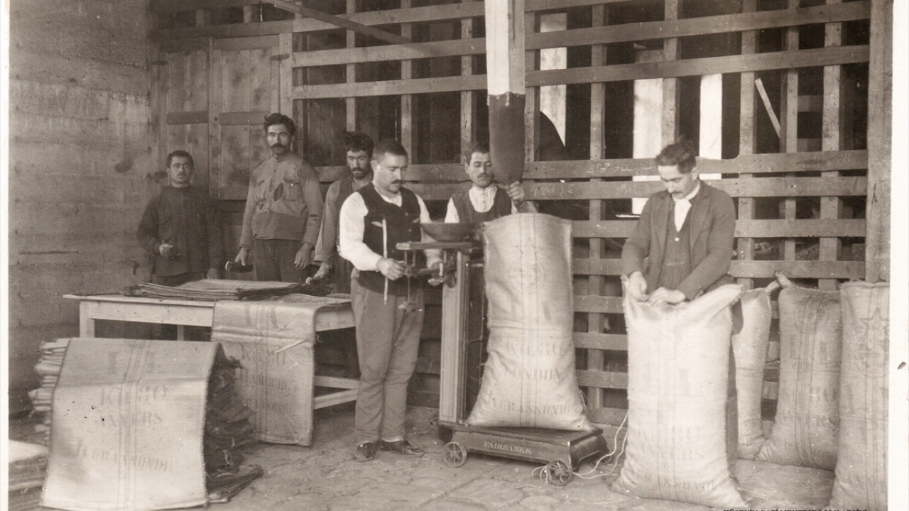 Fotoğrafta Giresun`daki bir fındık fabrikası görülüyor.