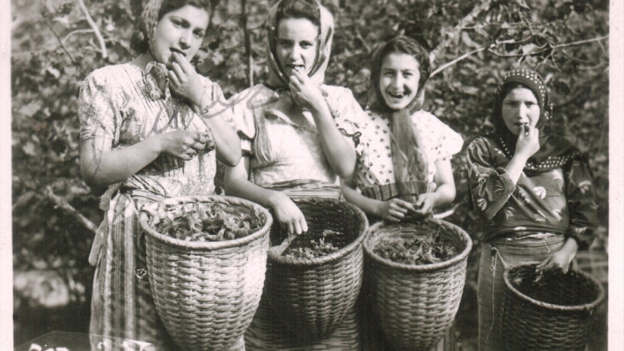 5 Türk Lirası`nın üzerinde yer alan fotoğraf.