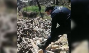 Yaşlı adamın odunlarını polis kesti