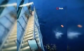 Koronavirüsü duyan yolcular denize atladı