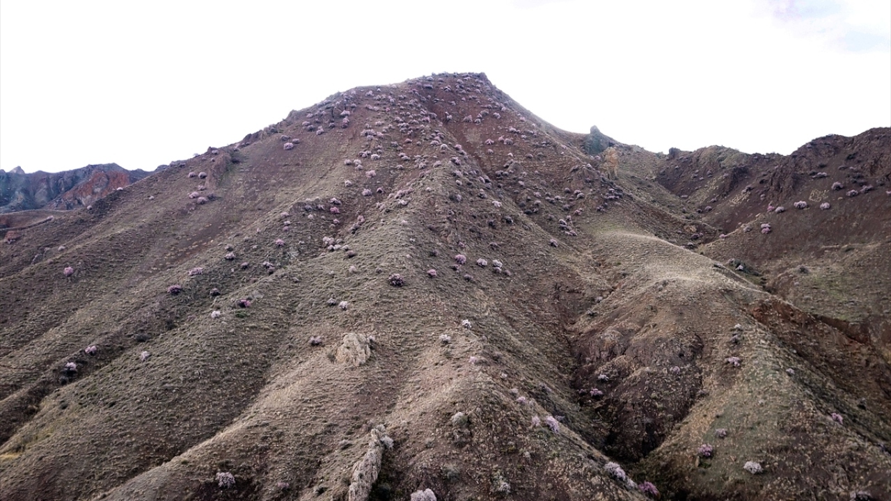 Başlatıldığı günden bugüne, bölgede yaşanan erozyonun büyük oranda durdurulmasını sağlayan projeyle geçmişte çoraklığıyla anılan dağları süsleyen badem ağaçları güzel görüntüler oluşturdu. 
