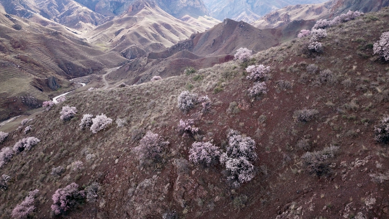 "Köylüye gelir kapısı olacak"