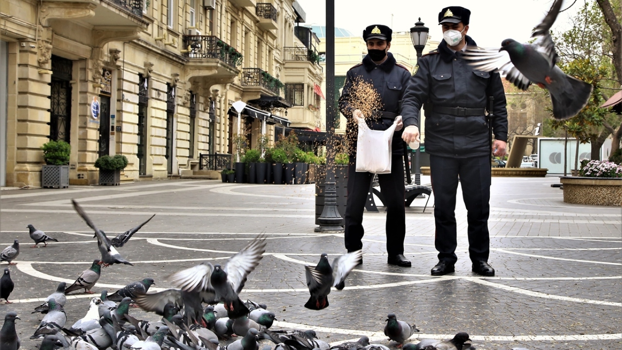 Meydanda yem arayan kuşları, bölgede görev yapan polis ve jandarma ekipleri besliyor. Ellerinde poşetlerle meydana yaklaşan polislerin etrafını bir anda yüzlerce kuş sarıyor. 
