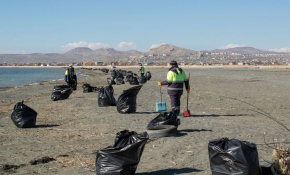 Van Gölü sahilinden 40 ton çöp toplandı