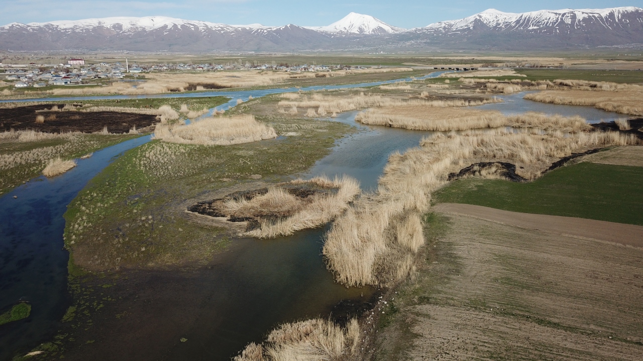 15 bin insanın geçim kaynağı olan Van Gölü`nde yaşayan endemik bir tür olan inci kefalinin avlanma yasağı 15 Nisan tarihinde başladı. 