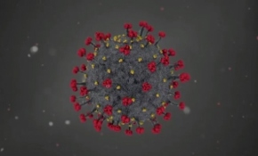 Koronovirüs hangi organlarda hasar bırakıyor?