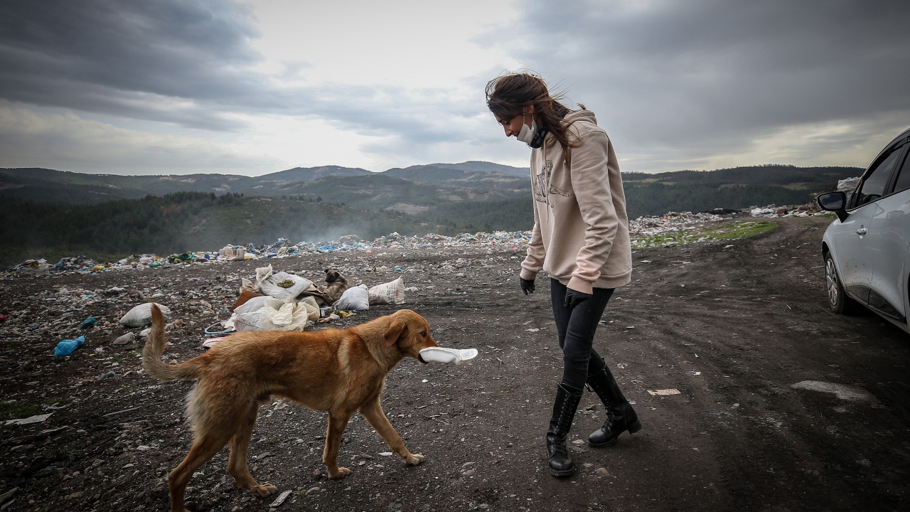 Her Eve Bir Pati Derneği üyeleri, her hafta pazar günü kentte köpek ve kedi yoğunluğunun olduğu bölgelere gönüllülerin yardımıyla giderek mama bırakıyor.