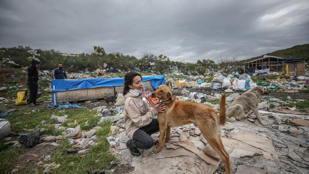 Dernek üyelerinden İrem Şahin, yaptığı açıklamada, uzun süredir Bursa`da eş zamanlı beslemeler gerçekleştirdiklerini söyledi.