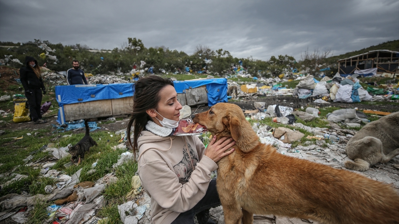 Köpek bahçelerinde 500`den fazla köpeğe baktıklarını, binlerce sokak köpeğine ise aç kalmamaları için ulaştıklarını belirten Şahin, zaman zaman zorluklar yaşadıklarını anlattı.