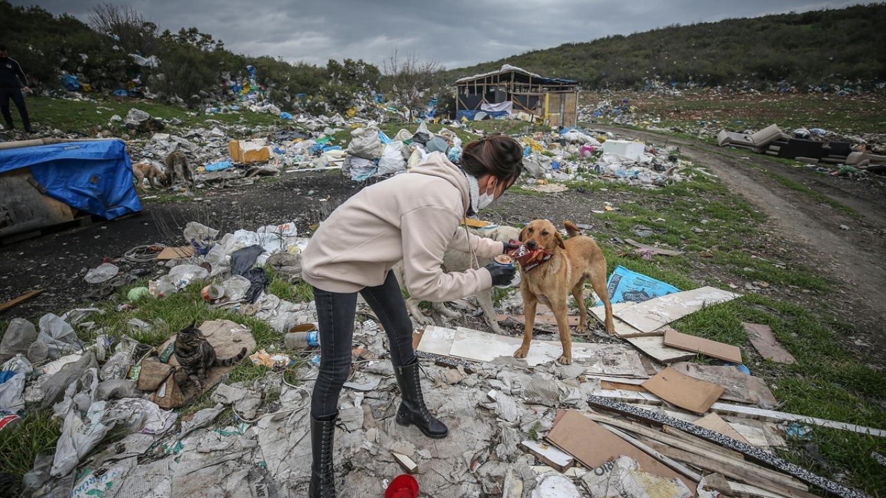 "Evde baktığımız evcil dostlarımız gibi hareketler yapıyor"